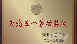 医院被湖北省总工会授予“五一劳动奖状”