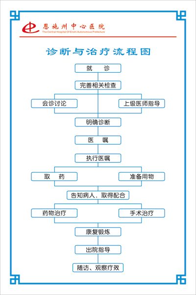 恩施自治州中心医院·诊断与治疗流程图